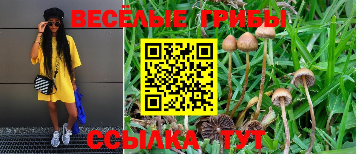 Галлюциногенные грибы MAGIC MUSHROOMS Керчь